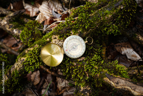 A golden compass on a moss-covered tree