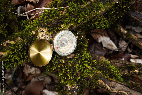 A golden compass on a moss-covered tree