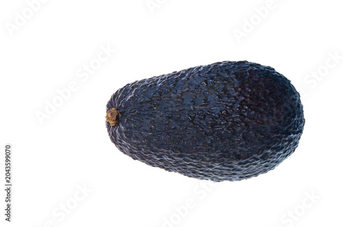 Warty dark brown avocado fruit, lateral view, on white background
