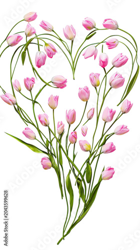 Heart shape formed by delicate pink tulips and green stems against a dark backdrop isolated on a transparent background
