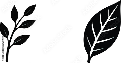 black and white feathers