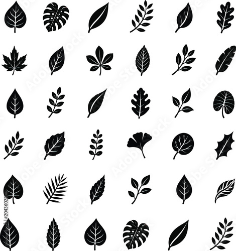 set of vector leaves
