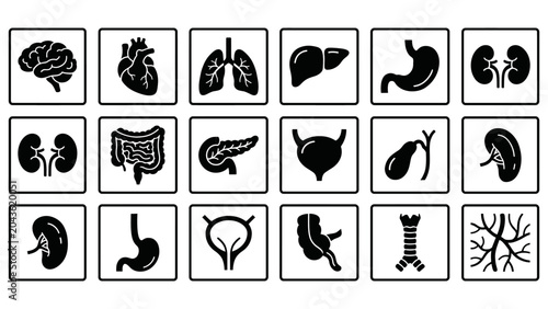 Human Body Organs Monochrome Flat Vector Set_26