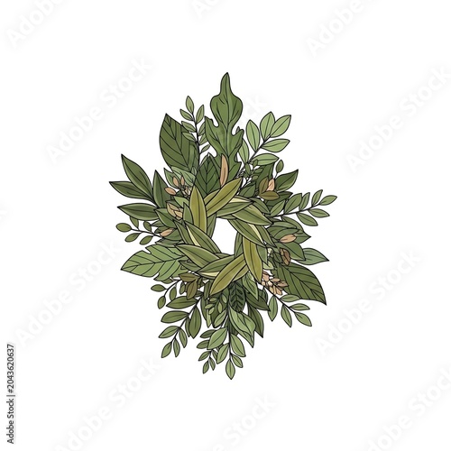 Close up of a green eucalyptus leaf cluster isolated on white.