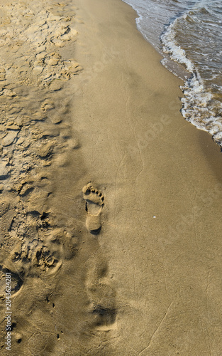 Single footprint on a sandy beach shore. A high-angle vertical shot of a lone human footprint imprinted on the wet sand of a beach. Gentle sea foam from the incoming waves laps at the shore.