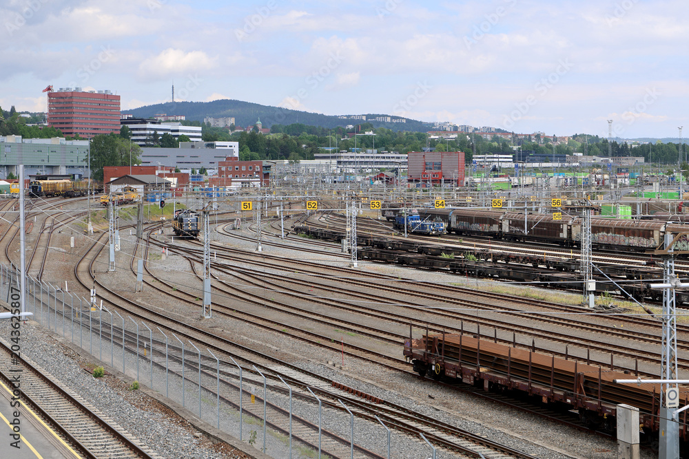 Fototapeta premium Train sentral