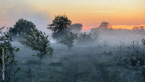 Tableau sur toile A foggy sunrise over a peaceful field with scattered trees, creating a mysteriou