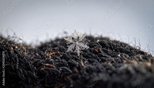 Macro View of Frost on Grassy Surface.
