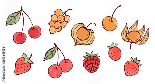Quadro su tela Clip art collection of cherry, strawberry, currant, cape gooseberry, Physalis peruviana, blackberry, mangosteen