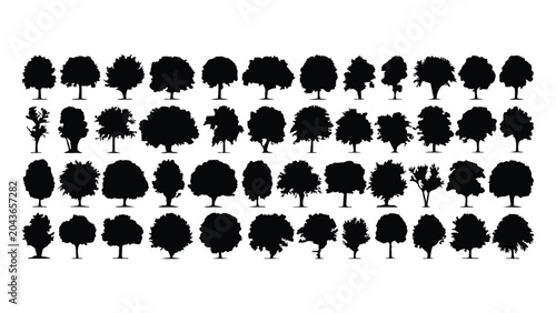 Set of black tree silhouettes isolated on transparent background, detailed vector illustration.