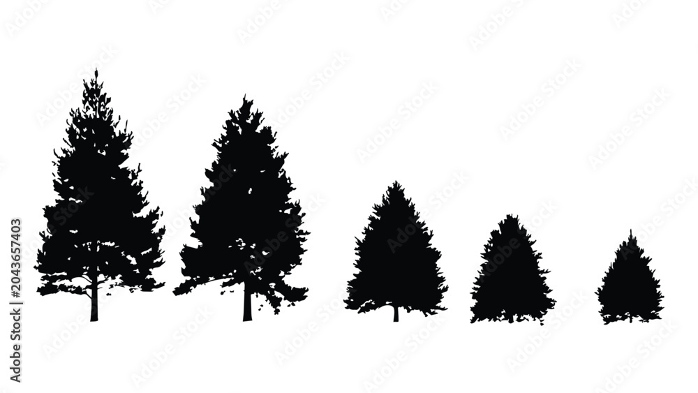Fototapeta premium Coniferous tree silhouettes in varying sizes on transparent background.