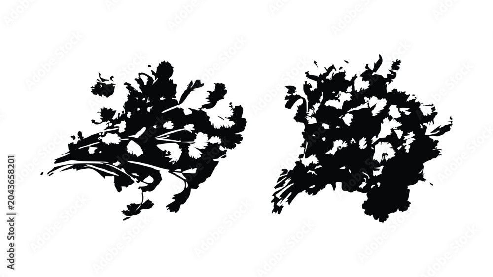 Fototapeta premium Cilantro coriander herb bunch top view solid silhouette vector illustration.
