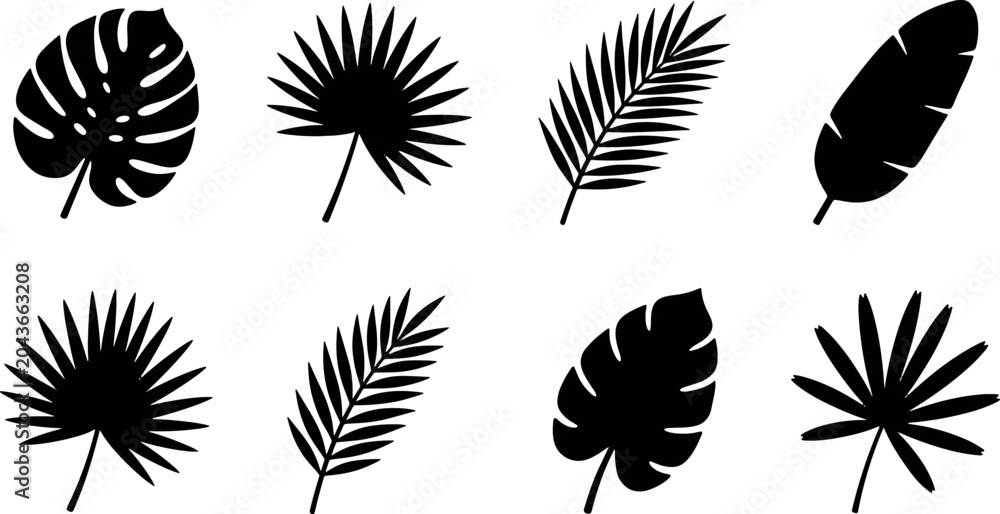 Obraz premium Tropical summer black silhouette palm leaves set monstera banana fern exotic jungle foliage decorative botanical element pack vector illustration