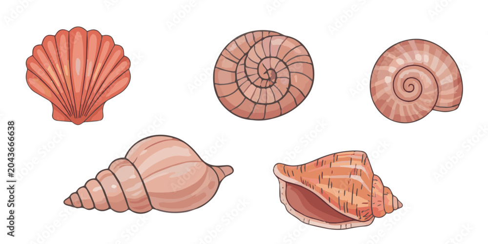 Foto Seashells collection