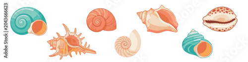 Tableau sur toile Stylized illustration of vibrant teal and orange seashells