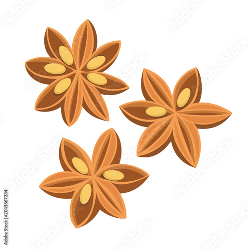 Fotografie High Quality Star Anise Vector Set – Handcrafted Style Dried Spice Pods for Cook