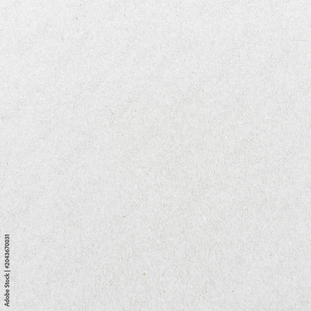 Obraz premium Plain textured white paper background