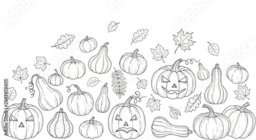 Foto Hand drawn collection of various pumpkins and autumn leaves for coloring page