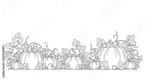 A detailed black and white line art illustration of a pumpkin patch with vines and leaves.