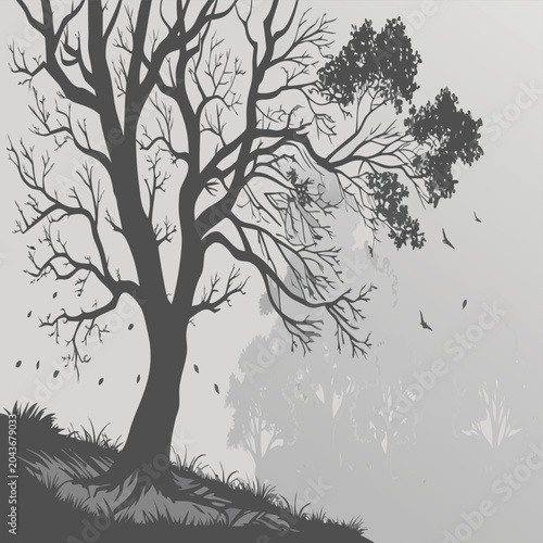 silhouette of tree