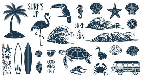 Photography Set of hand drawn tropical beach and surfing themed design elements