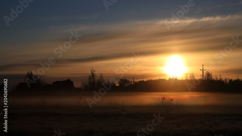 Sunrise over forest with orange and blue sky. Summer landscape.