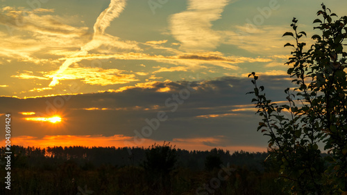 Sunrise over forest with orange and blue sky. Summer landscape. Selective focus.