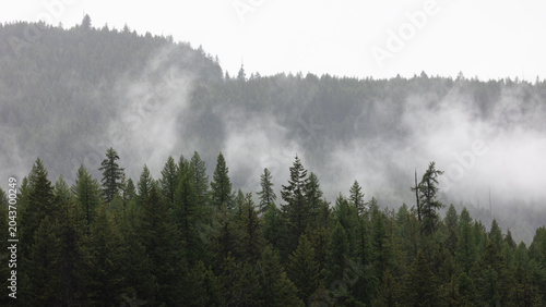 Misty Montana Forests, Fog Over Montana Mountains, Scenic View of Fog Over Northern Montana Landscape