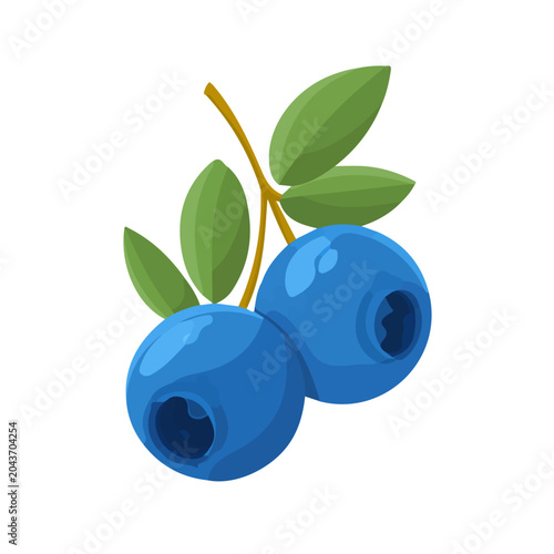 Fotografija Bilberry flat vector illustration in a modern and simple 2D style, placed on a white background