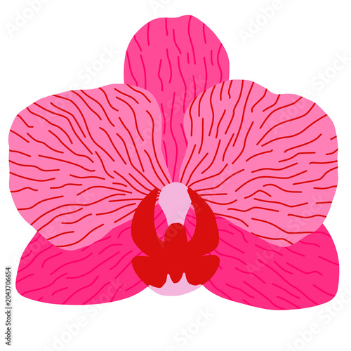 A minimal pink orchid flower illustration with organic textures, nature element design