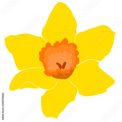 A yellow daffodil flower illustration with orange center, nature element design