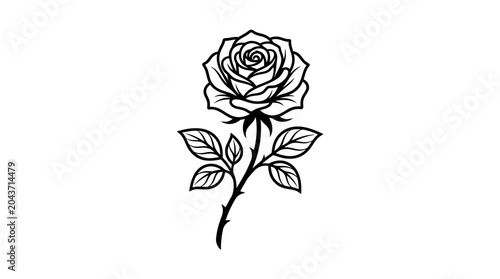 Black and white single rose flower.