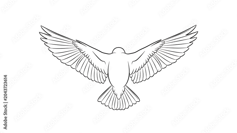 Fototapeta premium Peaceful dove in spread wings silhouette flying upward isolated on a transparent background, dove silhouette