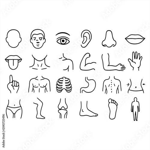 A collection of various human body parts and facial features illustrated in simple line drawings.