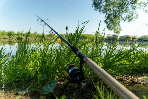 A fishing rod lies low in dense green grass on a sunny riverbank, with calm water in the background, leafy trees along the shore, and bright natural daylight