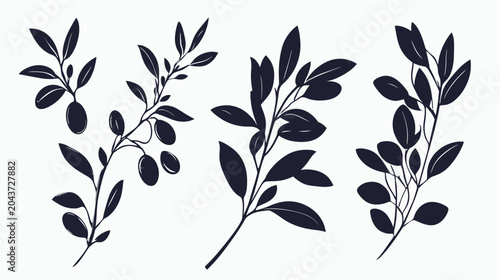 Collection of stylized dark botanical sprigs, featuring leaves and olives, isolated on a white backdrop