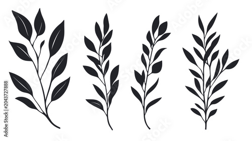 Four black-and-white botanical illustrations of leaves and stems
