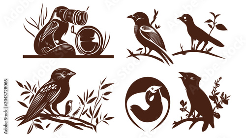Six brown illustrations of birds, including a figure with binoculars, set against a white backdrop