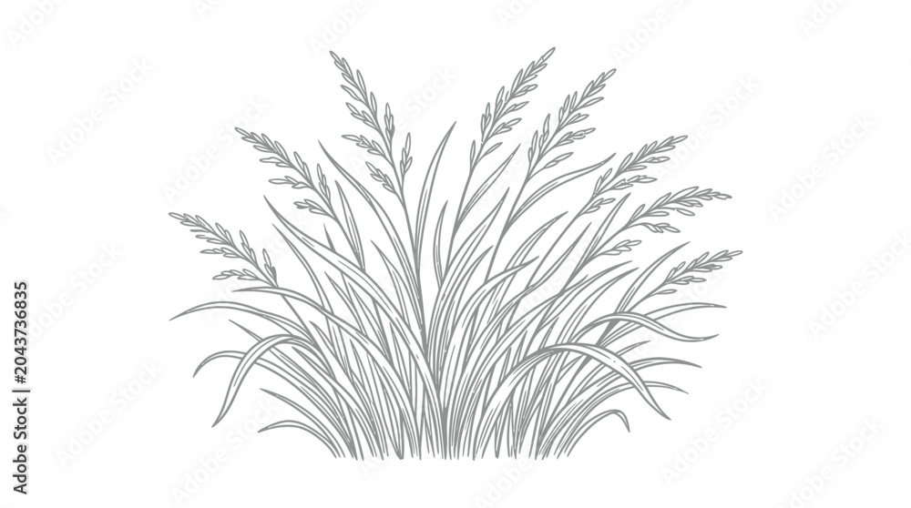Fototapeta premium Delicate Line Art Illustration of Tall Grasses and Seed Heads