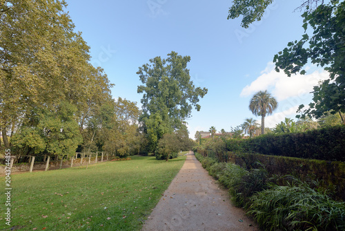 Tableau sur toile Straight Path Through Green Park