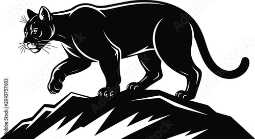 Cuadro en lienzo Stalking mountain lion walking across a jagged rocky ledge, wild cougar side vie