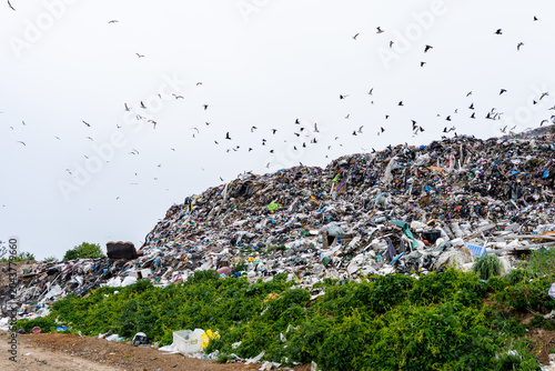 a large landfill near the city