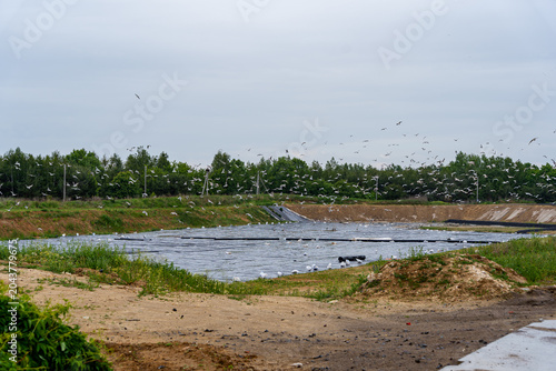 a site prepared for a future landfill