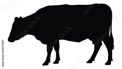 Obraz na płótnie cow silhouette on white background animal farm livestock beef bovine