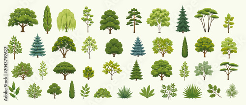 Tableau sur toile Lush green forest tree set with leafy crowns, trunks, deciduous and conifer plan
