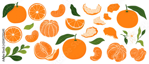 Принти на полотні Ripe mandarin orange collection with juicy tangerine slices, peeled citrus fruit