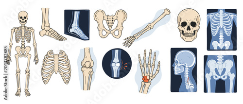 Foto Human skeleton body parts seamless pattern with skull, ribs, pelvis, arm, foot a