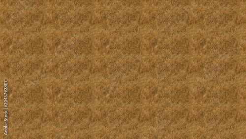 Dry golden grass field texture showing natural patterns of wild meadow plants under bright sunlight in a detailed outdoor view