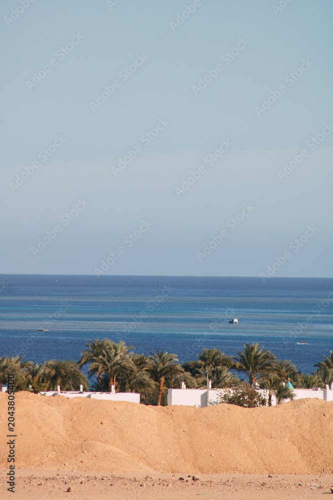 Fototapeta premium Tropische Küste mit Palmen und türkisblauem Meer vor sandiger Wüstenlandschaft