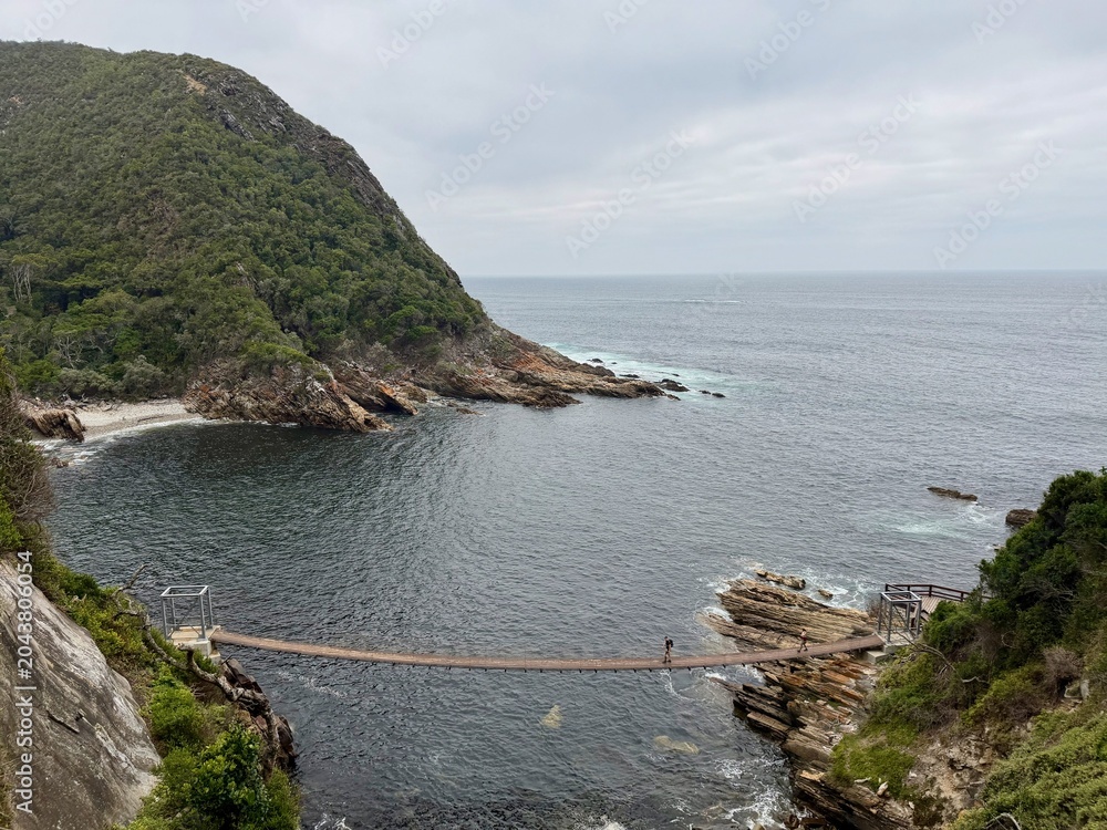 Obraz premium Suspension bridge over a scenic coastal bay in Tsitsikamma National Park in South Africa, with rugged cliffs and lush vegetation.
